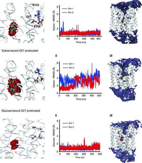 Molecular dynamics simulations reveal ligand.